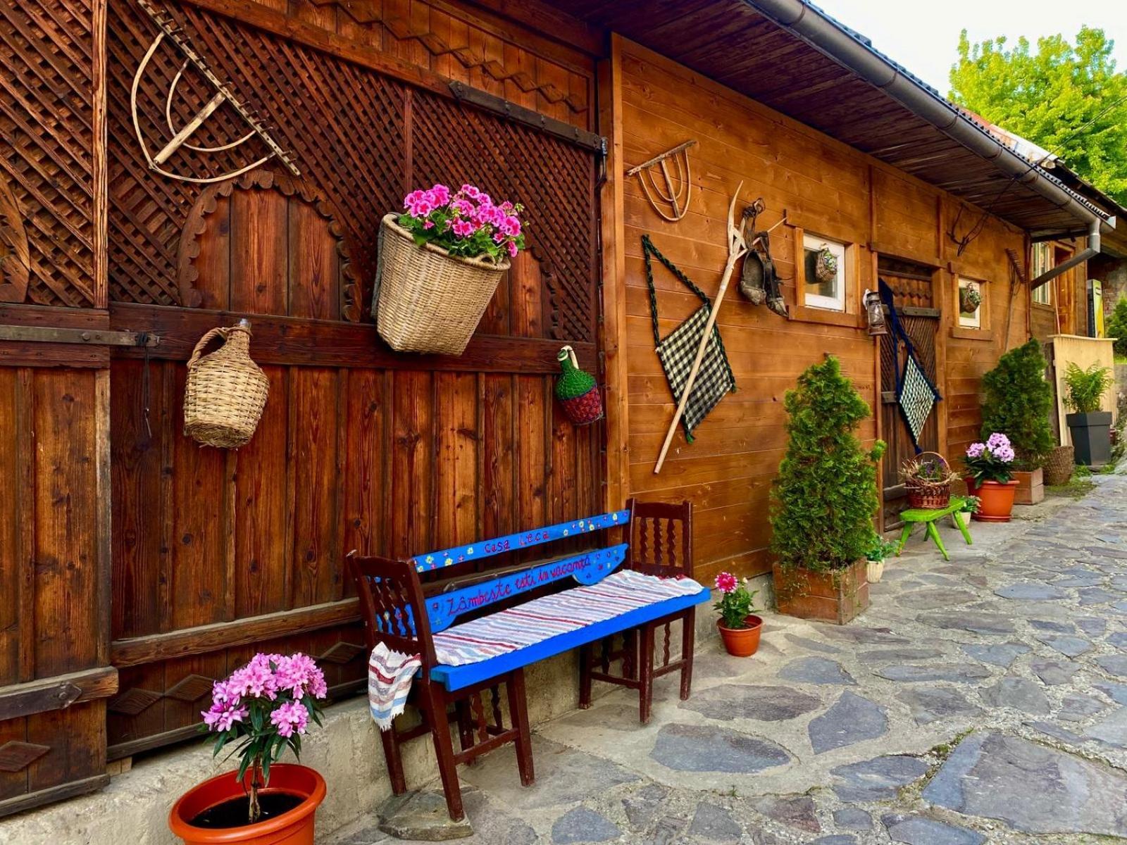 Отель Casa Leca Breb Экстерьер фото